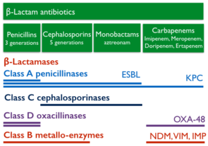 Classification des antibiotiques de type β-lactame et des β-lactamases. Les lignes horizontales représentent le profile d’hydrolyse de chaque classe de β-lactamases par rapport aux différentes familles d’antibiotiques.