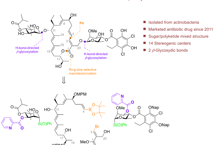 Total Synthesis of Tiacuminin B